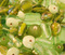 Indian glass mix Bead Shop Indian Green