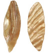 Shell bead leaf 46mm x 15mm Cream